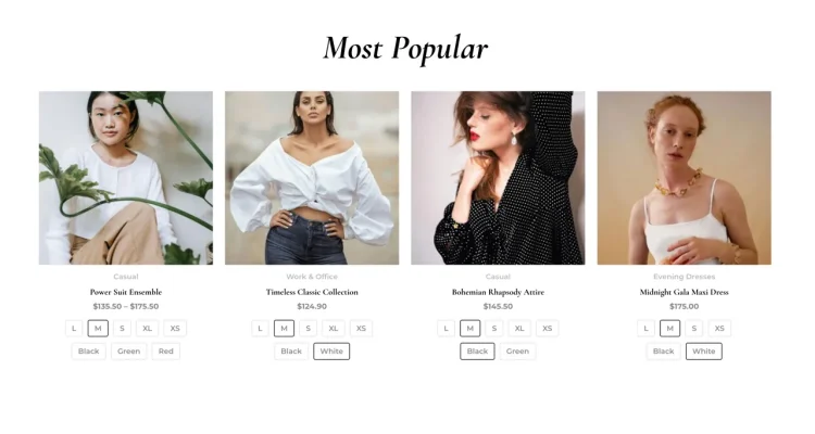 Astra WordPress Theme