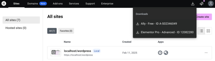 Elementor Pro Installation - Download