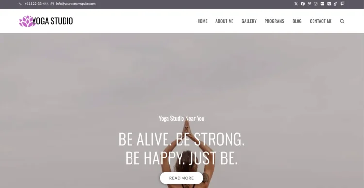 OceanWP WordPress Theme