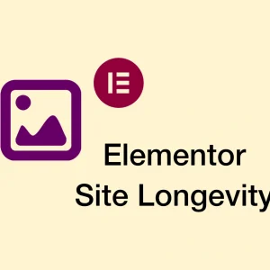 Elementor Site Longevity: Design Decisions That Prevent Future Breaks
