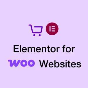 Elementor for WooCommerce Websites: Workflow Fit Explained