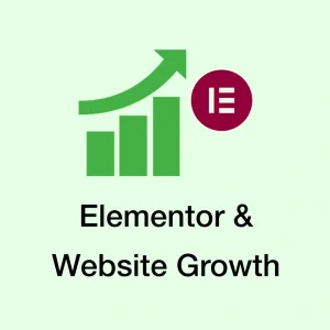 How Elementor Fits as WordPress Sites Grow